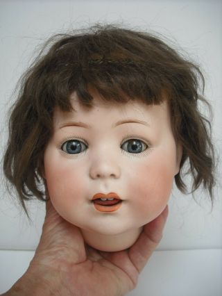 Large Dressel Jutta 1914 Character Baby / Toddler Bisque Doll 