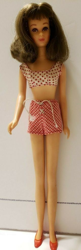 Francie,  Brunette 1966 Straight Leg Doll,  Box,  Swim Suit & Doll.