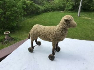 Vintage Antique Steiff Sheep Pull Toy With Button In Ear And Glass Eye 3
