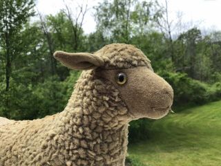 Vintage Antique Steiff Sheep Pull Toy With Button In Ear And Glass Eye 4