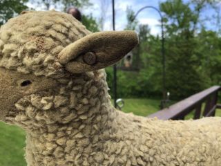 Vintage Antique Steiff Sheep Pull Toy With Button In Ear And Glass Eye 7