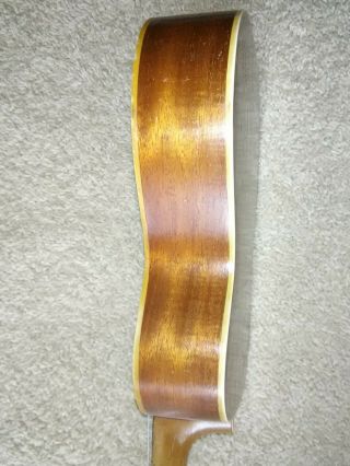 Vintage and Rare Washburn 5350 Ukelele (1920s) 3