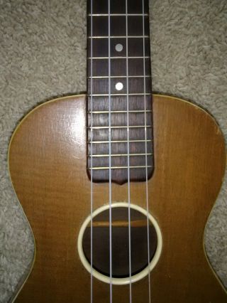 Vintage and Rare Washburn 5350 Ukelele (1920s) 6