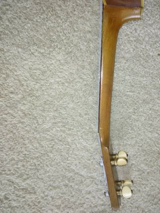 Vintage and Rare Washburn 5350 Ukelele (1920s) 8