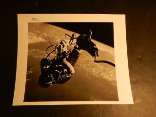 Vintage Nasa Gemini 4 Astronaut Ed White First Spacewalk 1965 Photograph 8x10 H