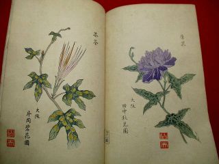2 - 20 RARE Japanese Morning - glory flower Woodblock print BOOK 11