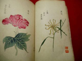 2 - 20 RARE Japanese Morning - glory flower Woodblock print BOOK 7
