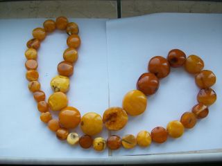 170G Antique Old Baltic Egg Yolk Amber Round Beads Necklace Natural 12