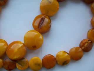 170G Antique Old Baltic Egg Yolk Amber Round Beads Necklace Natural 5