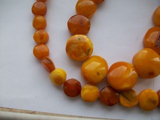 170G Antique Old Baltic Egg Yolk Amber Round Beads Necklace Natural 6