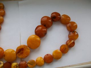 170G Antique Old Baltic Egg Yolk Amber Round Beads Necklace Natural 8