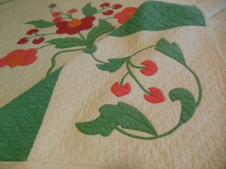 Vintage Hand Done Applique Red Green Full Quilt Signed Weber Stacyville Ia 1937
