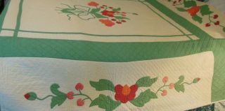 Vintage Hand Done Applique Red Green Full Quilt Signed Weber Stacyville IA 1937 7