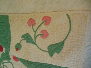 Vintage Hand Done Applique Red Green Full Quilt Signed Weber Stacyville IA 1937 8