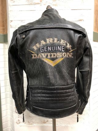 Harley Davidson Men 