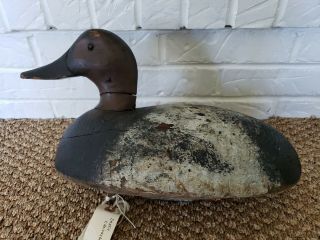 Very Rare Old Fred A.  Plichta Canvasback Drake Wood Duck Decoy - 1920 - 1937