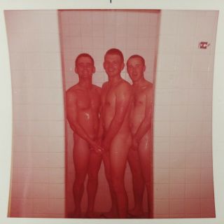 Vtg 60s Nude Marines Soldiers In Barraks Shower Photos Beefcake Gay Interest