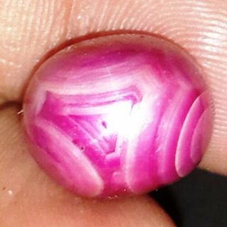 16.  63 Ct Rare Johnson Star Ruby 100 Natural Gie Certified Oval Shapetop Gems Gm