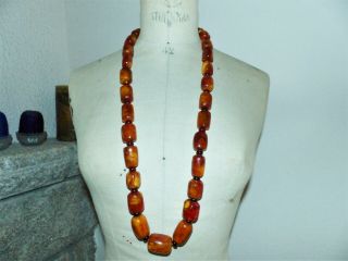VINTAGE JUMBO EGG YOLK,  BUTTERSCOTCH,  REAL AMBER BEADS NECKLACE - floats in water 2