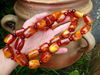 VINTAGE JUMBO EGG YOLK,  BUTTERSCOTCH,  REAL AMBER BEADS NECKLACE - floats in water 4