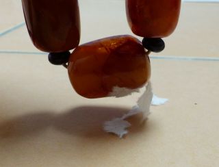 VINTAGE JUMBO EGG YOLK,  BUTTERSCOTCH,  REAL AMBER BEADS NECKLACE - floats in water 8