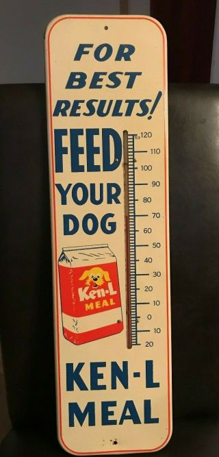 Large 50s Vintage Ken - L - Ration Dog Food Thermometer - - 26.  5x7.  5 - - - -