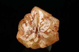 Rare Locale Chrysoberyl Crystal Sixling Twin Khammam,  India - Ex.  Currier