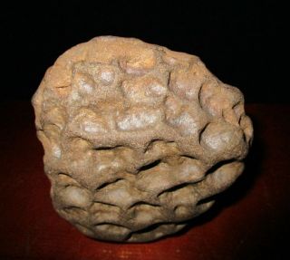 Meteorite Specimen York Regmaglypts Rare Authentic 847.  3g