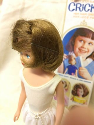 60s Rare Boxed American Character Cricket Ballerina doll,  Tressy’s cousin,  Toots 5