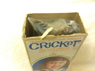60s Rare Boxed American Character Cricket Ballerina doll,  Tressy’s cousin,  Toots 8