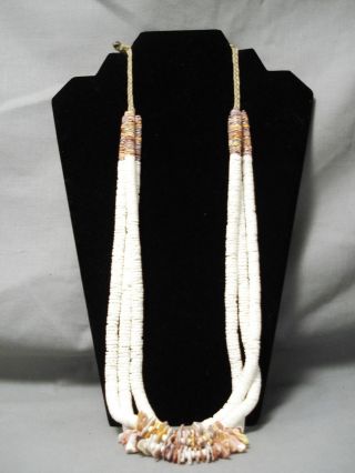 One Most Unusual Vintage Santo Domingo White Shell Native American Necklace Old