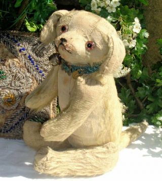 Extremely Rare Antique C1905 5 Way Jointed Mohair Teddy Bear Dog 14.  5 " German?