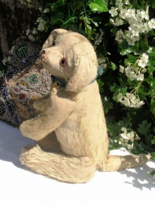 EXTREMELY RARE ANTIQUE C1905 5 WAY JOINTED MOHAIR TEDDY BEAR DOG 14.  5 
