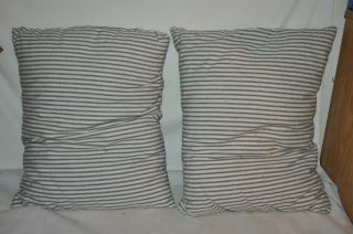 2 Vintage Blue Tic Stripe 21 " X 16 " Feather Pillow Soft Medium Stuff