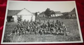 Wwii German Photo Postcard Heer Army Combat Unit In The Field Summer Hbt Tunics