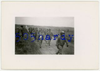 Wwii Us Gi Photo - Mp Leads Large Column Of Captured German Prisoners - Top