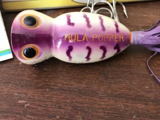 Fishing Lure Fred Arbogast Hula Popper 5/8 OZ Purple 2