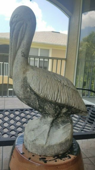 Early Vintage Antique Concrete Large 20.  5 In Pelican Lawn Ornament Old Florida