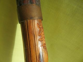 Antique German Stag Antler Handle Carved Hickory Cane Walking Stick 4