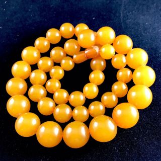 Vintage 60s Baltic Amber Necklace 69 Gm Graduated Round Butterscotch Amber Beads