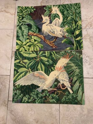 Vintage Paint By Number Set Tropical Birds Parrots Egrets Heron Large 24” X 18”