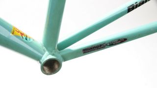 BIANCHI SL LITE ALLOY ALUMINIUM FRAME PANTANI MERCATONE VINTAGE REPARTO CORSE 8