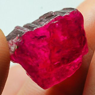 Vvs 19.  8ct Red Tourmaline Crystal Facet Rough Specimen 100 Natural Ubxv222