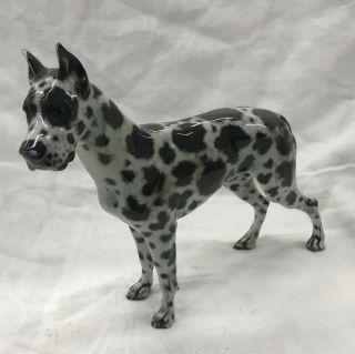 Vintage Rosenthal Harlequin Great Dane Masterpiece - A Best In Show Dog Figurine 2