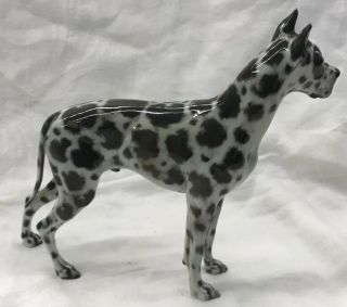 Vintage Rosenthal Harlequin Great Dane Masterpiece - A Best In Show Dog Figurine 7