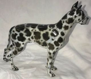 Vintage Rosenthal Harlequin Great Dane Masterpiece - A Best In Show Dog Figurine 8