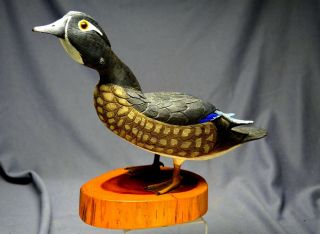 Norman Hancock Carver Harkers Island Nc Wood Duck Decoy Wildfowl Carving 1986