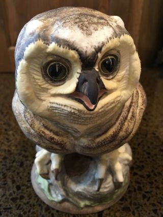 Vintage Boehm Porcelain Fledgling Great Horn Owl 479z Limited Edition