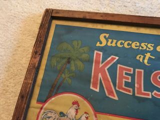 Chicken And Poultry Farming Vintage Canvas Framed Vintage Sign,  Kelsey City,  Fl. 8