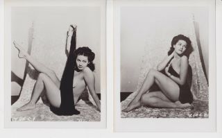 5 Rare Vintage 50s Yvonne De Carlo Semi Nude 4x5s
